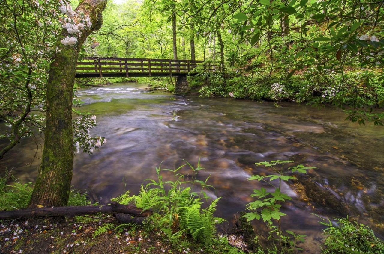 Bear Tracks, 2 Bedrooms, Hot Tub, Fireplace, Wifi, Jetted Tub, Sleeps 6 Gatlinburg Esterno foto